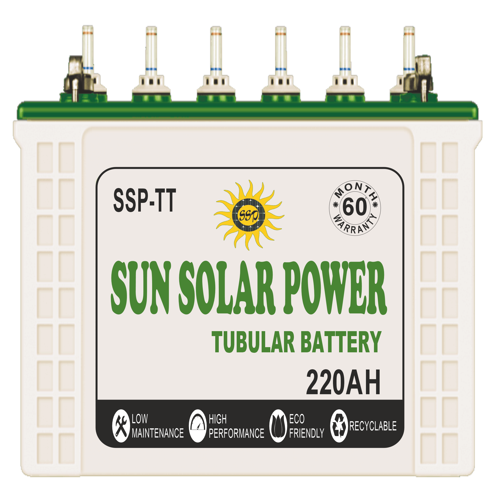 INVERTER BATTERY C10